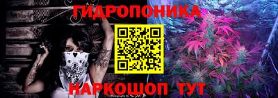 Альфа ПВП Чебоксары
