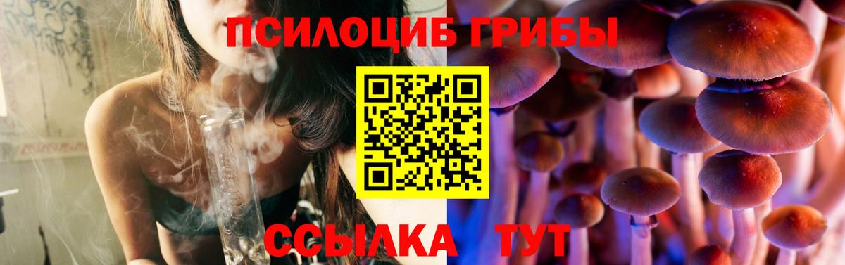 Чайковский  Галлюциногенные грибы Psilocybe  Вход с VPN  Галлюциногенные грибы ЛСД 